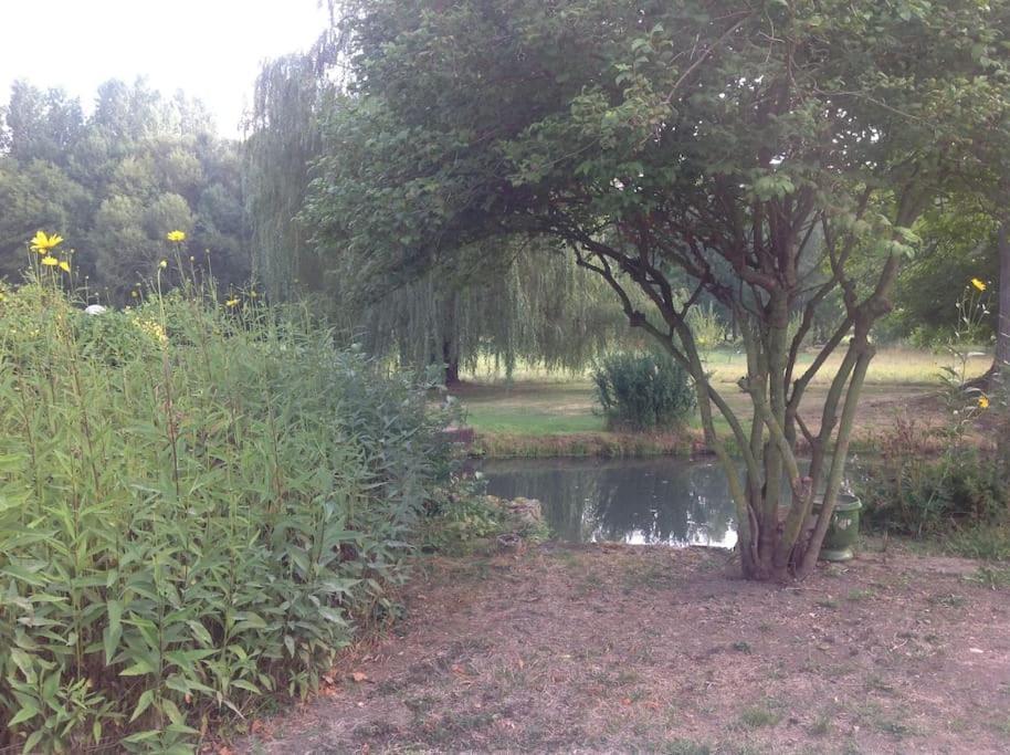 Вилла Le Foulon - Moulin De Charme - 1 Heure 30 De Paris Saint-Hilaire-les-Andresis Экстерьер фото